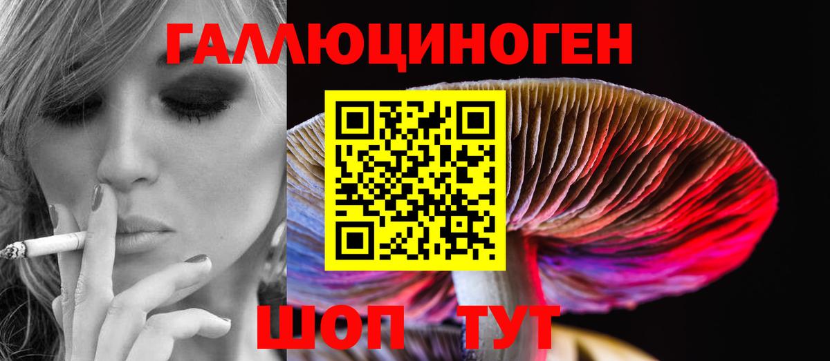 Рязань  Галлюциногенные грибы мицелий  Вход с VPN 