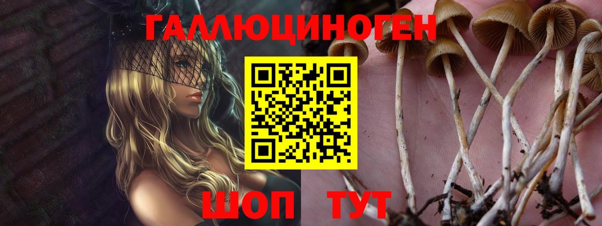 Галлюциногенные грибы Magic Shrooms Рязань